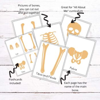 Halloween Activity Build a Skeleton Cut and Paste