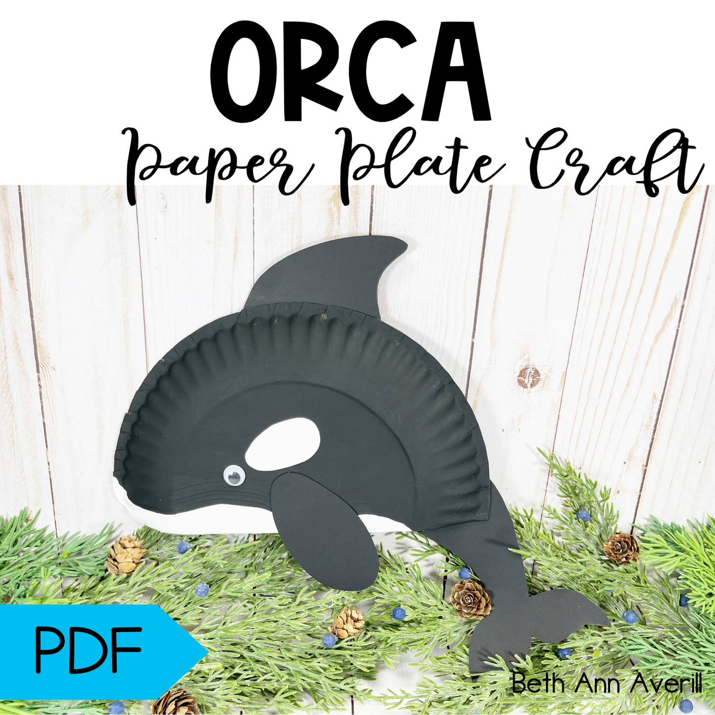 Orca Paper Plate Craft