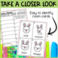 Bunny Shapes Write the Room | 2D Shapes Recognition & Name Writing