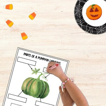 Pumpkin Life Cycle Writing Activities Labeling Parts of a Pumpkin Worksheets