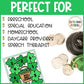 St. Patrick's Day Roll and Cover Dice Game